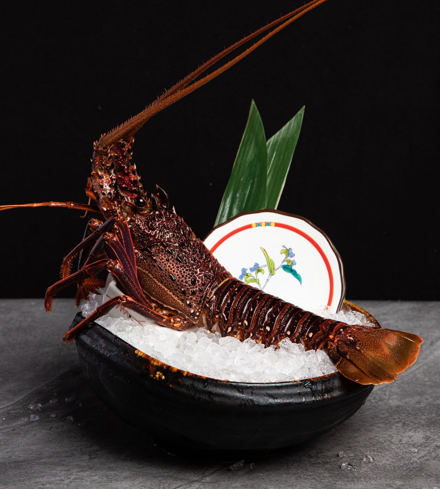 Food Photography Services (Japanese cuisine)